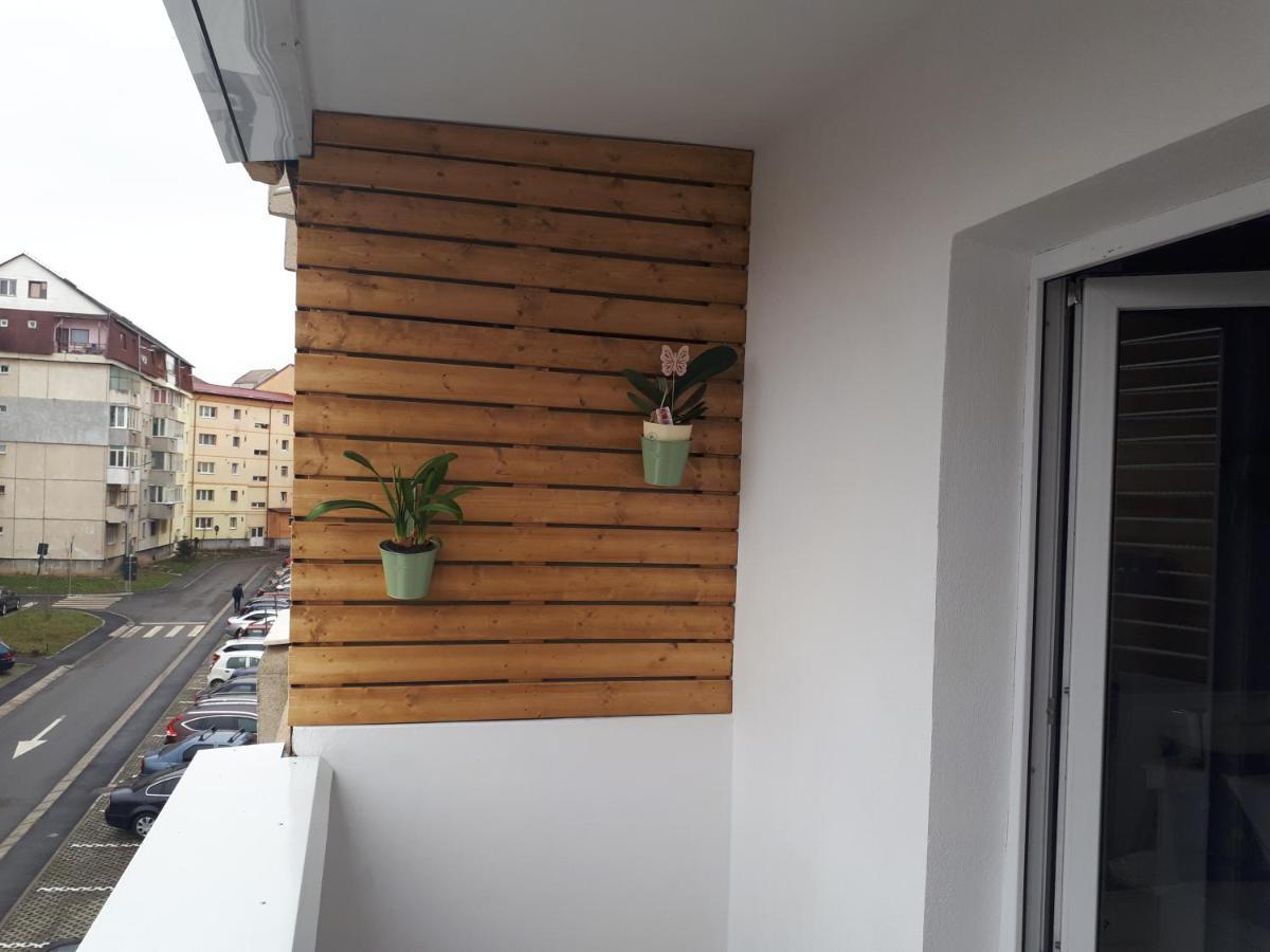 Angel Residence Sibiu Esterno foto